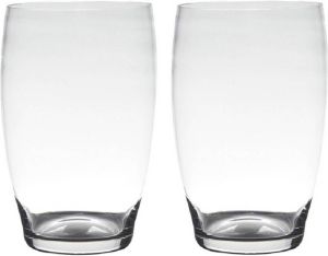 Hakbijl Glass Set van 2x stuks transparante home-basics vaas vazen van glas 20 x 15 cm Naomi Vazen