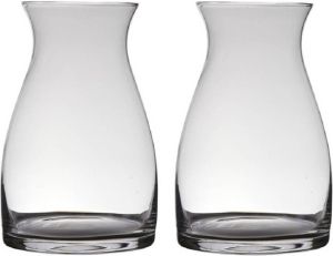 Hakbijl Glass Set van 2x stuks transparante home-basics vaas vazen van glas 30 x 19 cm Bloemen takken boeketten vaas voor binnen gebruik Vazen