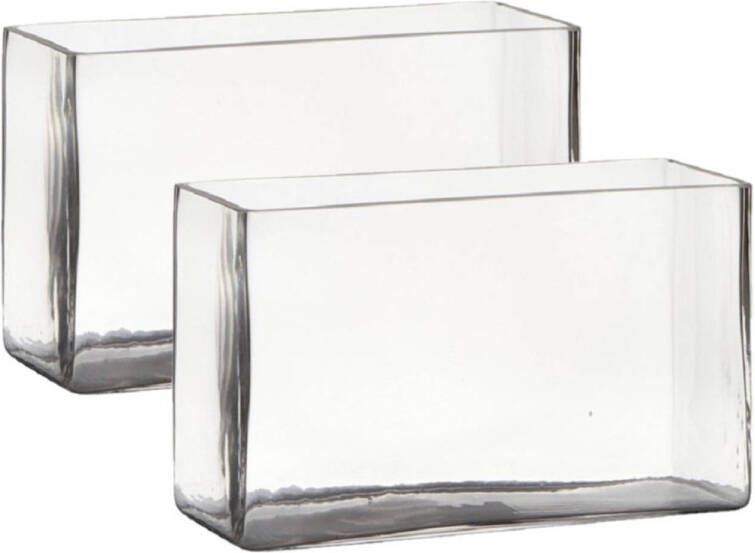 Hakbijl Glass Set van 2x stuks transparante rechthoek accubak vaas vazen van glas 25 x 10 x 15 cm Bloemstukje terrarium vaas Vazen