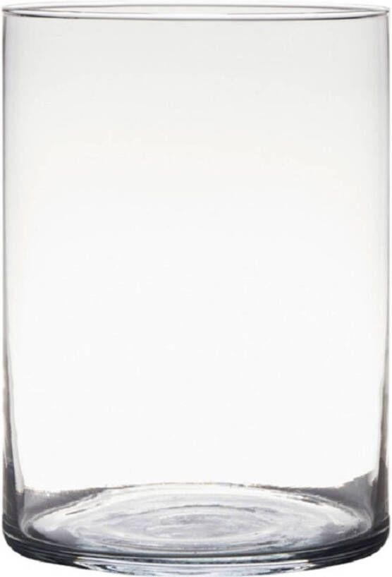 Hakbijl Glass Transparante home-basics Cylinder vorm vaas vazen van glas 25 x 18 cm Bloemen takken boeketten vaas voor binnen gebruik Vazen