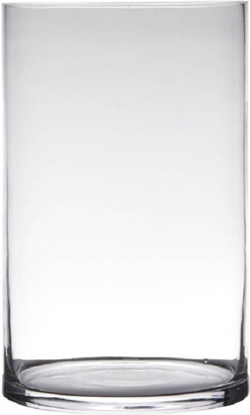 Hakbijl Glass Transparante home-basics cilinder vorm vaas vazen van glas 30 x 19 cm Vazen
