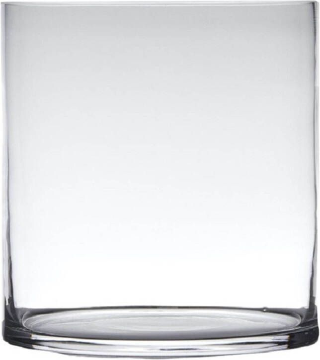 Hakbijl Glass Transparante home-basics Cylinder vorm vaas vazen van glas 30 x 25 cm Bloemen takken boeketten vaas voor binnen gebruik Vazen