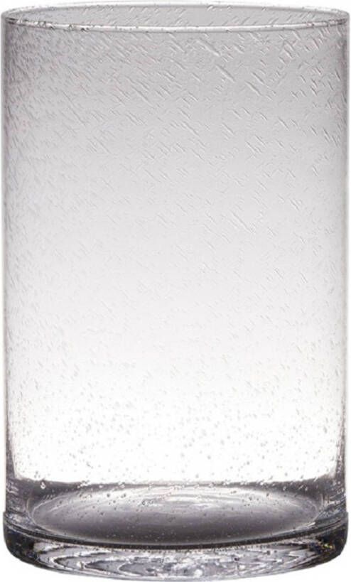 Hakbijl Glass Transparante home-basics cylinder vorm vaas vazen van bubbel glas 30 x 19 cm Vazen