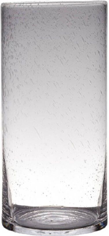 Hakbijl Glass Transparante home-basics Cylinder vorm vaas vazen van bubbel glas 40 x 19 cm Bloemen takken boeketten vaas voor binnen gebruik Vazen