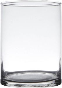 Hakbijl Glass Transparante home-basics Cylinder vorm vaas vazen van glas 15 x 12 cm Bloemen takken boeketten vaas voor binnen gebruik Vazen