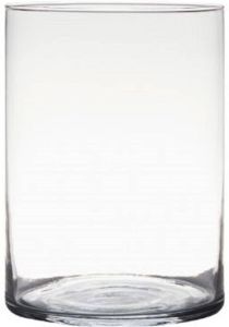 Hakbijl Glass Transparante home-basics Cylinder vorm vaas vazen van glas 20 x 14 cm Bloemen takken boeketten vaas voor binnen gebruik Vazen