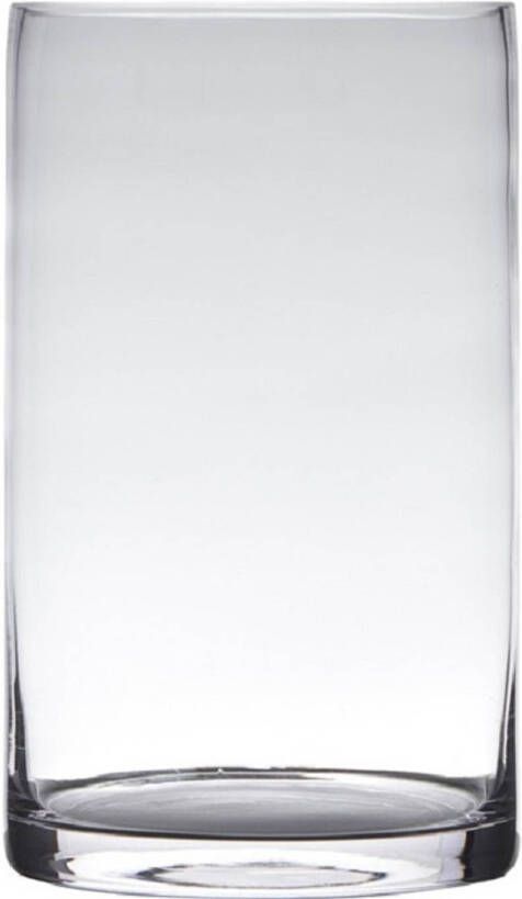 Hakbijl Glass Transparante home-basics cylinder vorm vaas vazen van glas 20 x 15 cm Vazen