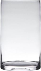 Hakbijl Glass Transparante home-basics Cylinder vorm vaas vazen van glas 20 x 15 cm Bloemen takken boeketten vaas voor binnen gebruik Vazen