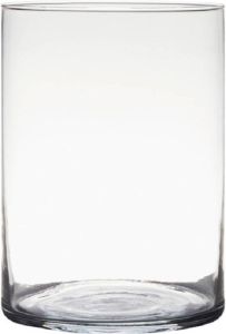 Hakbijl Glass Transparante home-basics Cylinder vorm vaas vazen van glas 25 x 18 cm Bloemen takken boeketten vaas voor binnen gebruik Vazen