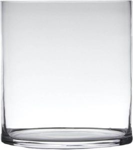 Hakbijl Glass Transparante home-basics Cylinder vorm vaas vazen van glas 30 x 25 cm Bloemen takken boeketten vaas voor binnen gebruik Vazen