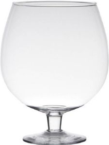 Hakbijl Glass Transparante luxe stijlvolle Brandy vaas vazen van glas 20 cm Bloemen terrarium vaas voor binnen gebruik Vazen