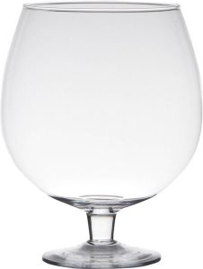 Hakbijl Glass Transparante luxe stijlvolle Brandy vaas vazen van glas 24 cm Bloemen Terrarium vaas voor binnen gebruik Vazen