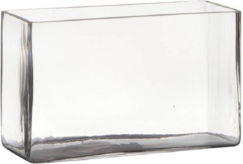 Hakbijl Glass Transparante rechthoek accubak vaas vazen van glas 25 x 10 x 15 cm Vazen