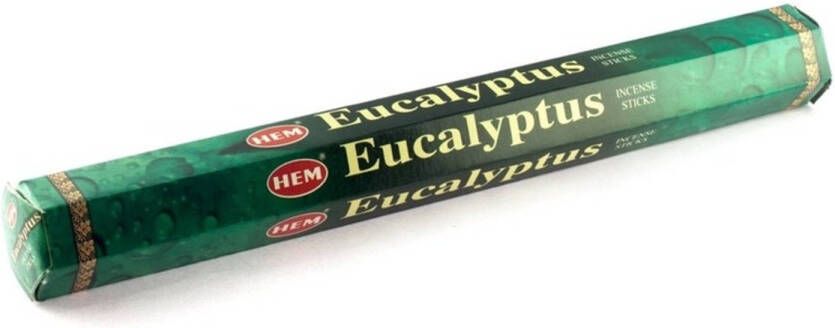 HEM 3x Pakjes wierook stokjes eucalyptus Wierookstokjes