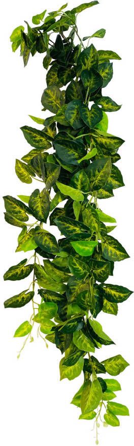 HEM Drankenklimop (Syngonium) Kunstplant Volle Hangplant Kunstplant 100 cm Levensechte Kunstplant