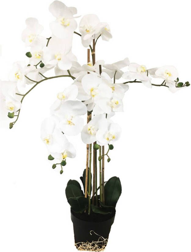 HEM Grote Levensechte Kunst Orchidee Phlaenopsis plant 100 cm met pot Witte kunst orchidee Kunstplanten