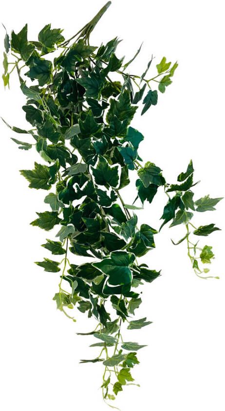 HEM Klimop (Hedera Helix Bont) Kunstplant Volle Hangplant Kunstplant 100 cm Levensechte Kunstplant