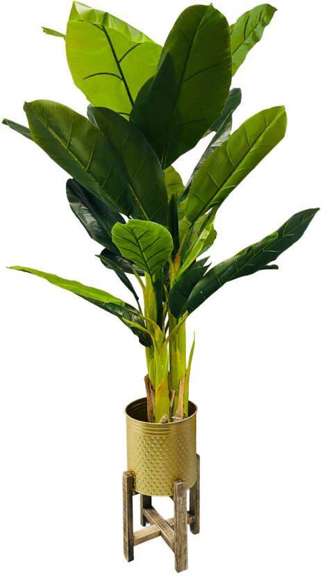 HEM Kunst Palm Kunst Bananenplant Bananen Kunstplant 165 cm Kunstplant voor binnen Grote Kunstplant