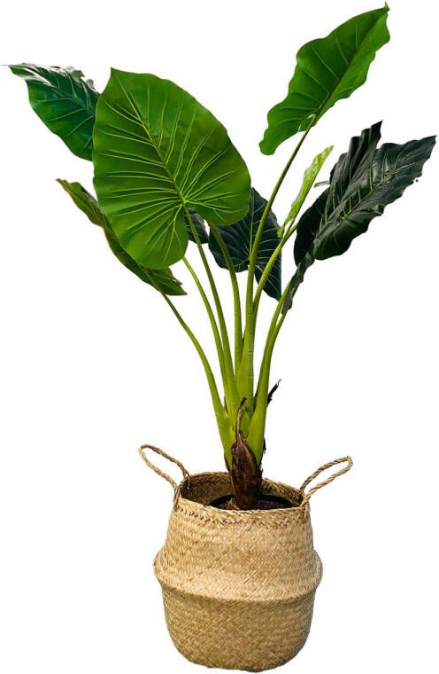 HEM Kunst Palm Kunst Colocasia Taro Plant Colocasia Taro Kunstplant 90 cm in zwarte pot Kunstplant voor binnen