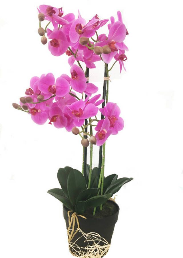 HEM Levensechte Kunst Orchidee Phalaenopsis plant 75 cm met pot Roze kunst orchidee Kunstplanten