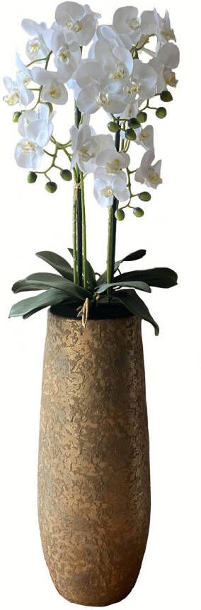 HEM Levensechte Kunst Orchidee Phalaenopsis plant 75 cm met pot Witte kunst orchidee Kunstplanten