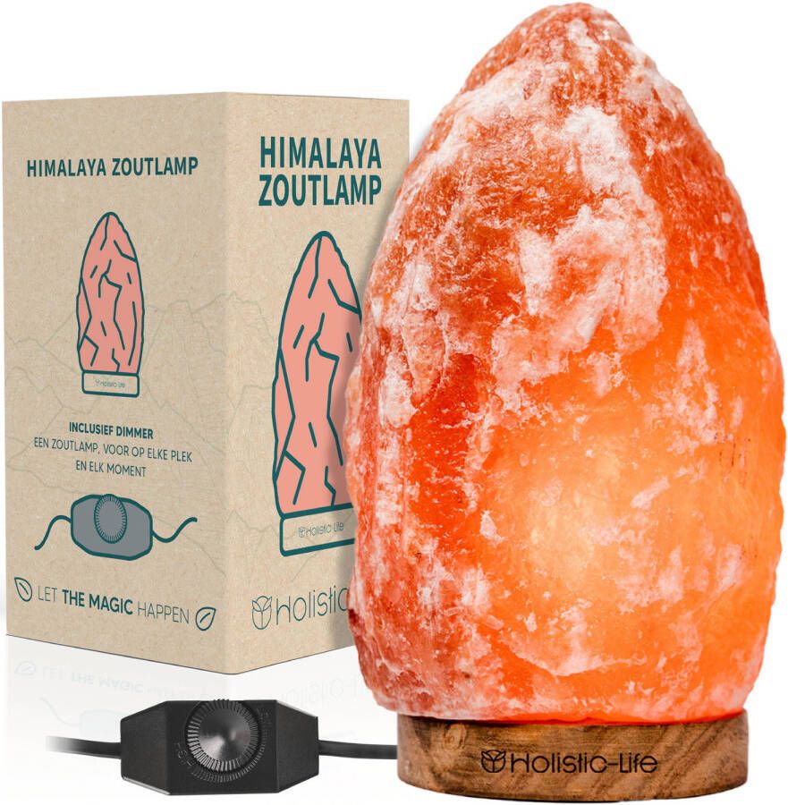 Holistic-Life Dimbare Grote Zoutlamp 4-5KG Himalayazout- Tafellamp Sfeerlamp Himalaya Zoutsteen Nachtlampje Dimbaar Incl. E-bo