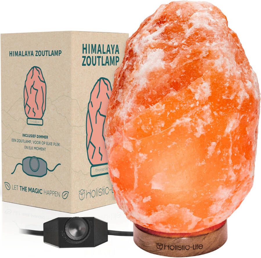 Holistic-Life Dimbare XL Zoutlamp 6-8KG Himalayazout Tafellamp Sfeerlamp Himalaya Zoutsteen Nachtlamp Dimbaar Incl. E-book