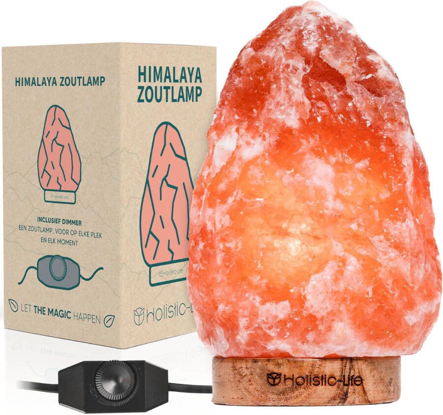 Holistic-Life Dimbare Zoutlamp 2-3KG Himalayazout- Tafellamp Sfeerlamp Himalaya Zoutsteen Nachtlampje Dimbaar Incl. E-book C
