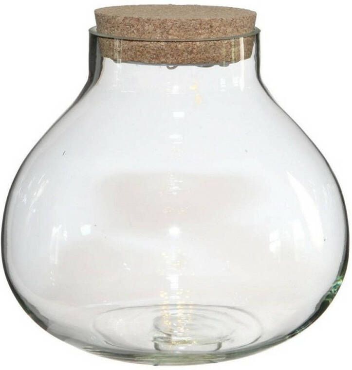 Ideas 4 Seasons Ideas4seasons Pot vaas van glas voor planten ecosysteem deksel met LED verlichting D20 x H20 cm Vazen