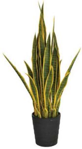 Intergard Kunstplanten Sansevieria vrouwentong 105cm bicolor