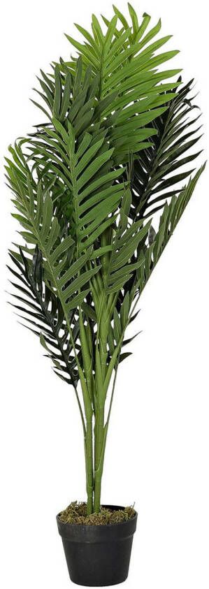 Items Kunstplant Tropische Palm in bloempot Groen 40 x 100 cm Kunstplanten