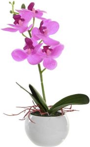 Items Orchidee bloemen kunstplant in witte bloempot roze bloemen H29 cm Kunstplanten