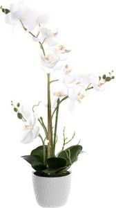 Items Orchidee bloemen kunstplant in witte bloempot witte bloemen H60 cm Kunstplanten