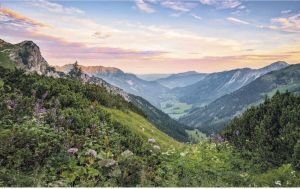 Komar Alps Vlies Fotobehang 400x250cm 4-banen