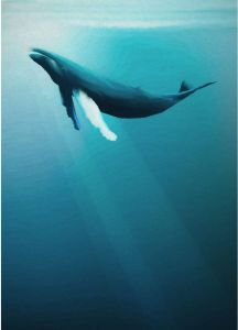 Komar Artsy Humpback Whale Vlies Fotobehang 200x280cm 4-Banen