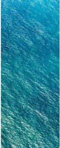 Komar Blaupause Vlies Fotobehang 100x250cm 1-baan