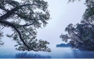 Komar Blue Waters Vlies Fotobehang 400x250cm 4-banen