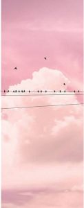 Komar Cloud Wire Vlies Fotobehang 100x250cm 1-baan