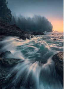 Komar Cry Of The Sea Vlies Fotobehang 200x280cm 4-banen