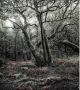 Komar Das Model Vlies Fotobehang 250x280cm 5-banen - Thumbnail 1