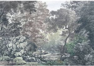 Komar Fairytale Forest Vlies Fotobehang 400x280cm 4-Banen