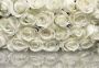 Komar Fotobehang A La Rose 368x254 cm (breedte x hoogte) inclusief pasta (1 stuk) - Thumbnail 1