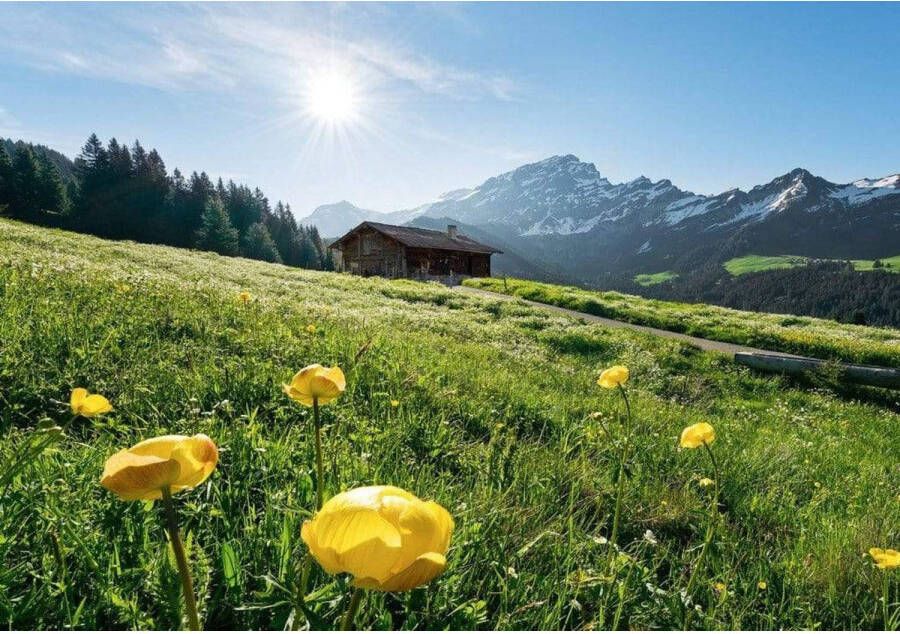 Komar Fotobehang Alpenglück 400x280cm Vliesbehang