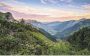 Komar Alps Vlies Fotobehang 400x250cm 4-banen - Thumbnail 1