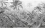 Komar Fotobehang Amazonia Black and White 400x250 cm - Thumbnail 1