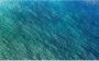 Komar Blaupause Vlies Fotobehang 400x250cm 4-banen - Thumbnail 1