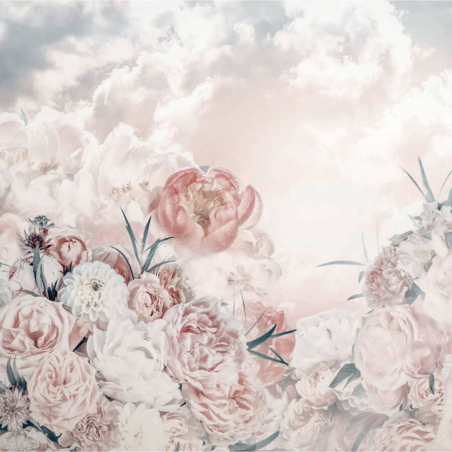 Komar Fotobehang Blossom Clouds 250x250cm Vliesbehang