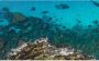 Komar Vliesbehang Digitale print vlies Bright Blue Afmeting 450 x 280 cm (9 stuks) - Thumbnail 1
