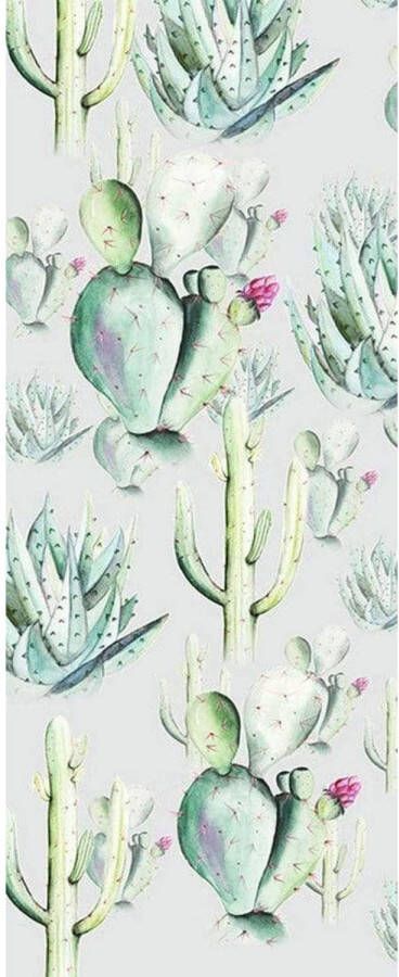 Komar Fotobehang Cactus Grey 100x250cm Vliesbehang