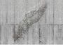 Komar Vliesbehang Concrete Feather 350x250 cm (breedte x hoogte) - Thumbnail 1